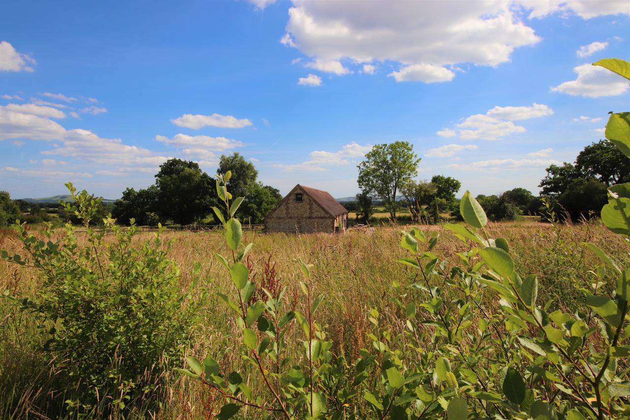 North Cottage - Country Retreat In The Heart Of Sussex -Twineham Εξωτερικό φωτογραφία